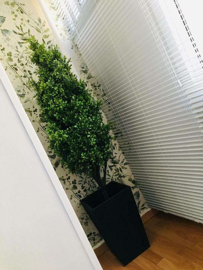 Apartamento Good Vibes Daire Zaragoza Dış mekan fotoğraf